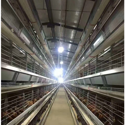 Layer cage breeding equipment（ Please contact email to ask for price）