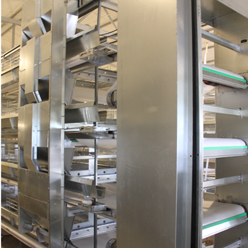 Cascading crawler manure cleaner（ Please contact email to ask for price）