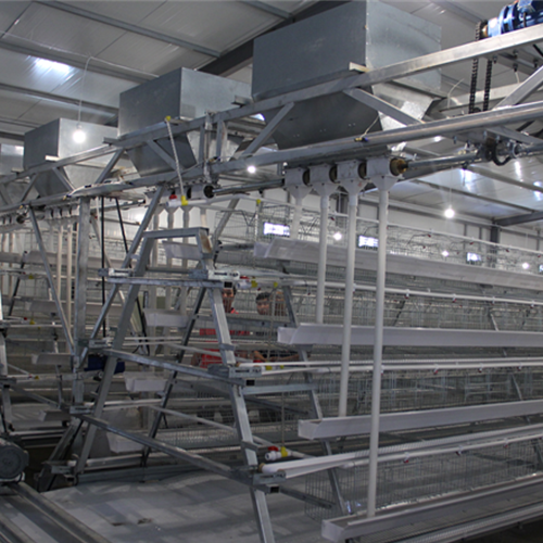 Gantry feeder（ Please contact email to ask for price）