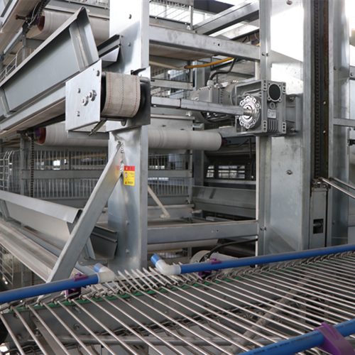 Fully automatic egg picking system（ Please contact email to ask for price）