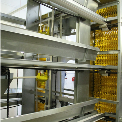 Fully automatic egg picking system（ Please contact email to ask for price）