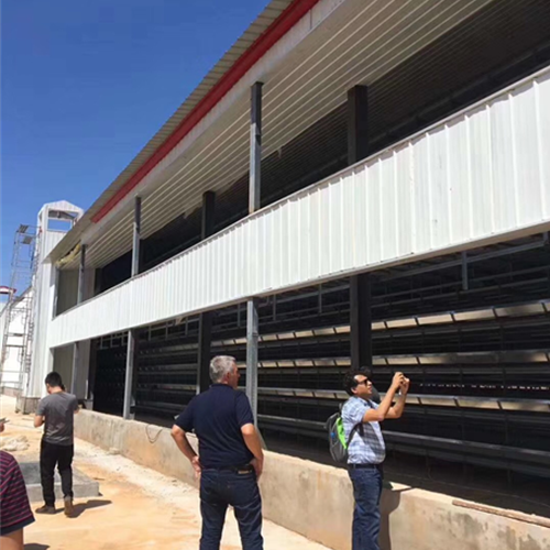 Layer cage breeding equipment（ Please contact email to ask for price）