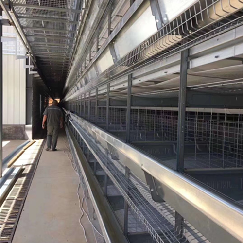 Layer cage breeding equipment（ Please contact email to ask for price）