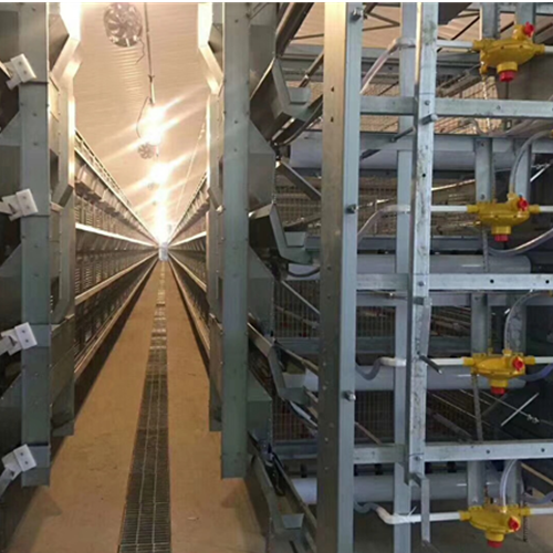 Layered layer cage breeding equipment production customization（ Please contact email to ask for price）