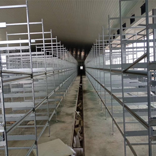 Layered layer cage breeding equipment production customization（ Please contact email to ask for price）