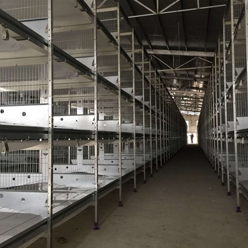 Layered layer cage breeding equipment production customization（ Please contact email to ask for price）