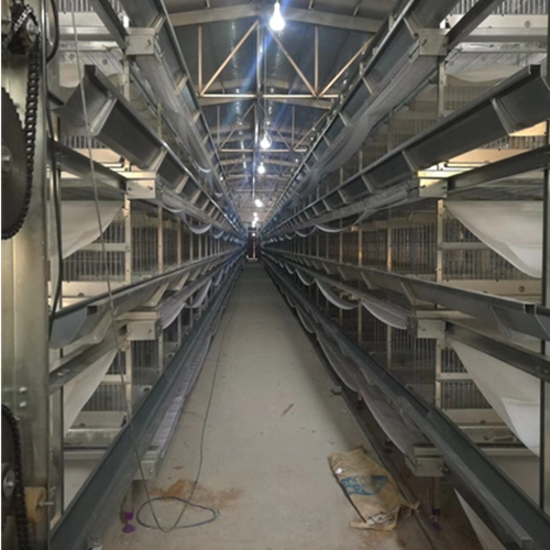 Layered layer cage breeding equipment production customization（ Please contact email to ask for price）