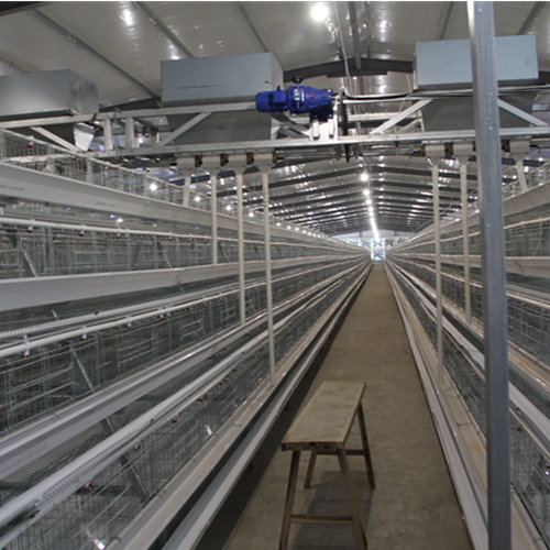 Gantry feeder（ Please contact email to ask for price）