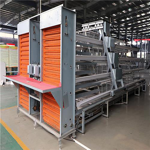 Fully automatic egg picking system（ Please contact email to ask for price）