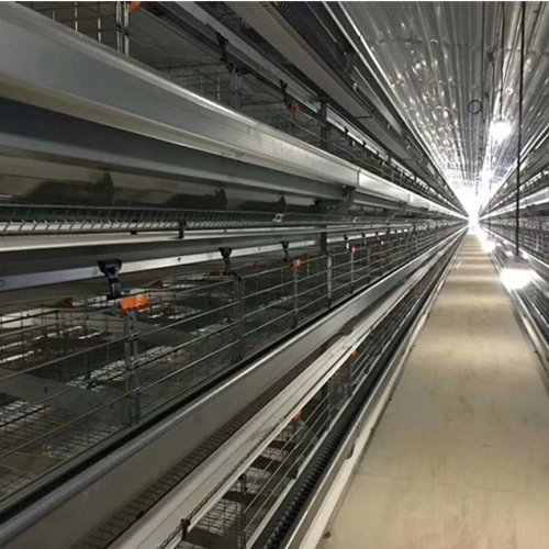 Layered layer cage breeding equipment production customization（ Please contact email to ask for price）